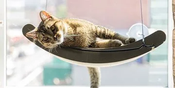 A cat relaxing in the sun on a window sill bed
