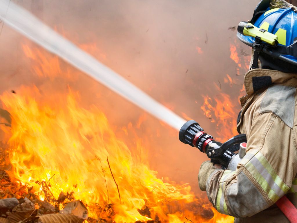 Library Lovers: A Firefighter's Life