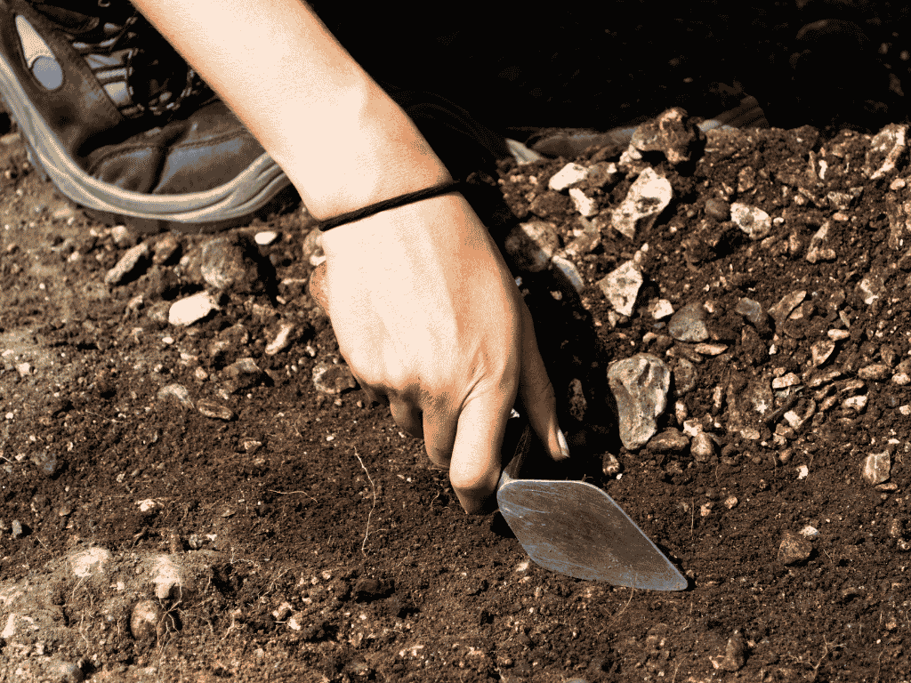 Community Archaeological excavation
