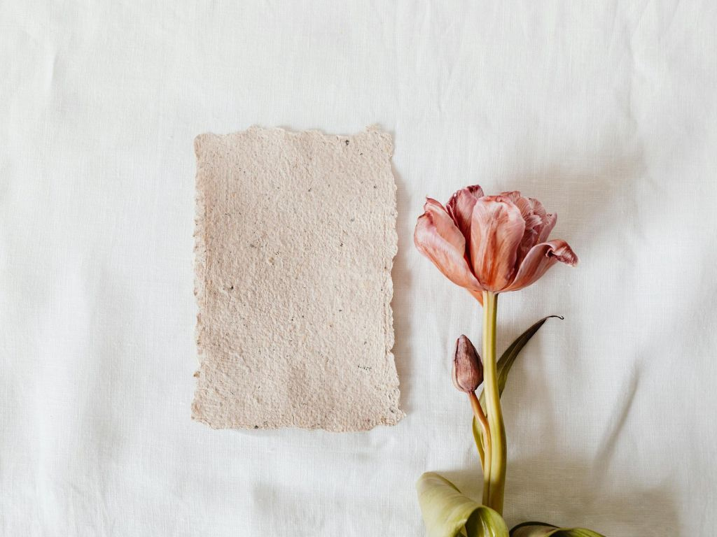 Craft Corner: Plantable seed paper and cards