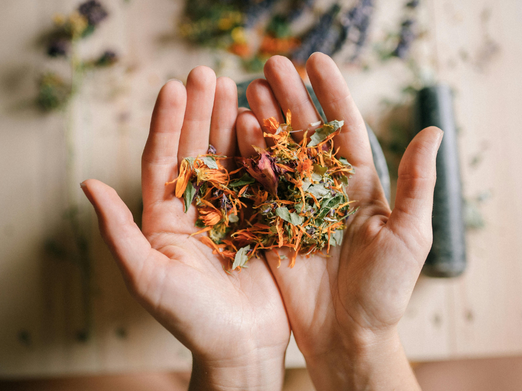 Libray Lovers: Introduction to healing herbs