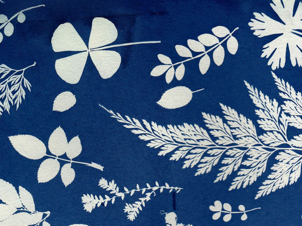 Monday Makers: Cyanotype printing