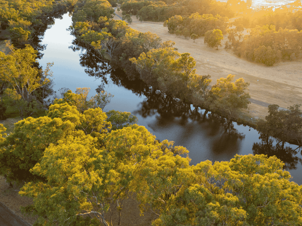 Swan Valley Sculpture Trail: Arts Community Co-design Workshop and Info Night