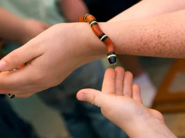 Hands holding small snake