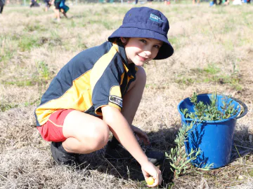 Musselbrook Park Community Planting