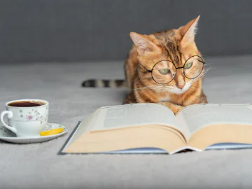 A cat wearing reading glasses, and open book and a cup of tea