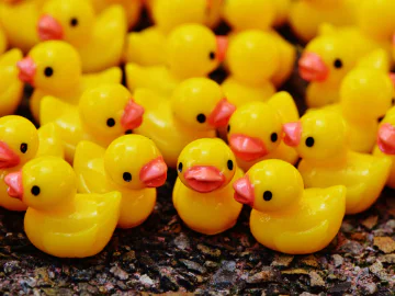 Death and Dying for Beginners Series - Death Ducks in a Row