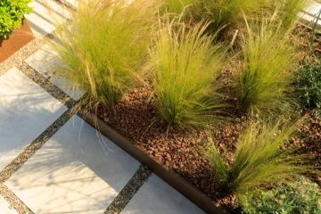 Backyard garden with corden steel raised garden beds filled with grasses