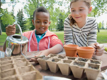 Propagate paper and plant - habitats for wildlife