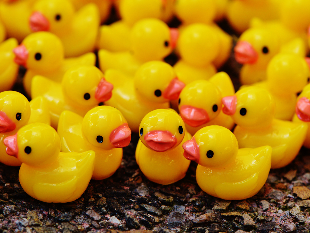 Death & Dying for Beginners Series - Death Ducks in a Row