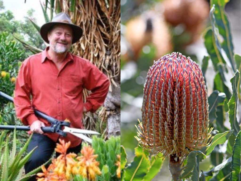 Branching Out: Growing in Perth