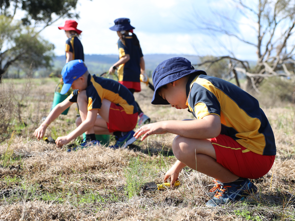 Natham Square Park Community Planting