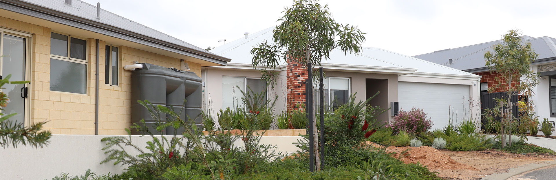 Houses in the City of Swan with native verge planting