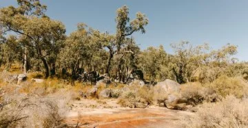 Bushland at Noble Falls