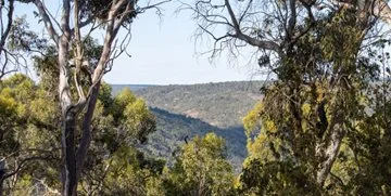 Gidgegannup Local Area Plan