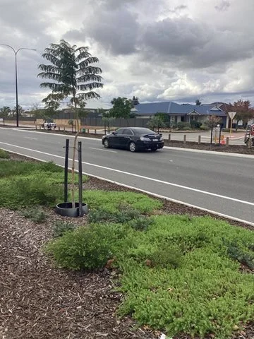 Upgrades and extension of Henley Brook Avenue