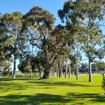 Dayton Neighbourhood Park