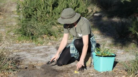 Caversham residents branch out for a greener future