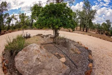 Firewise garden