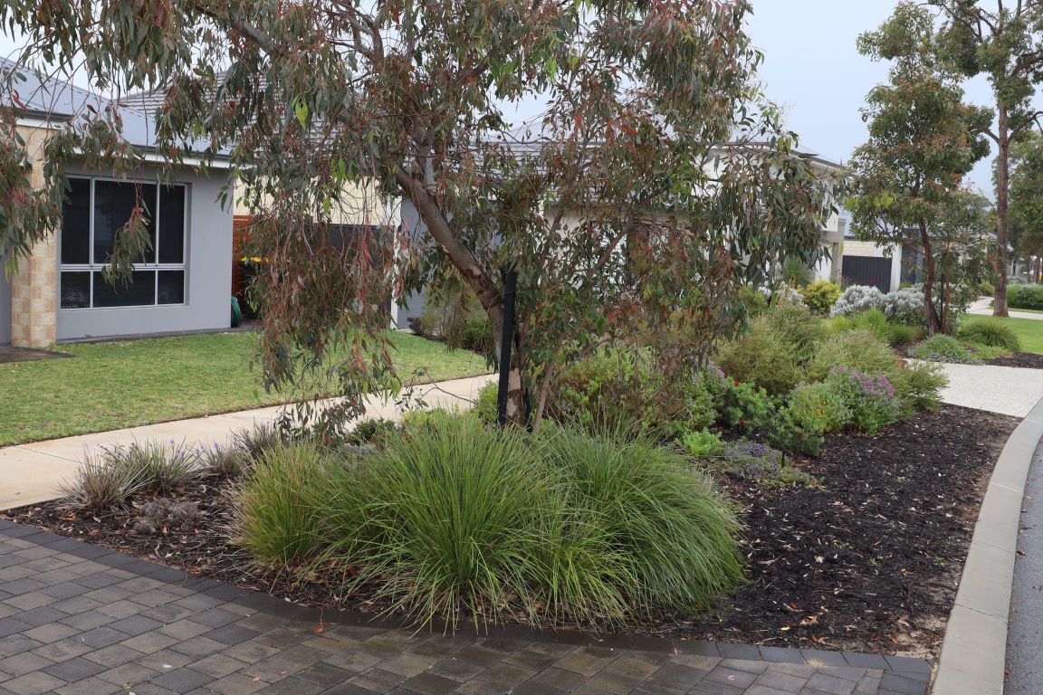 Verge Gardening presented by Budding Concepts