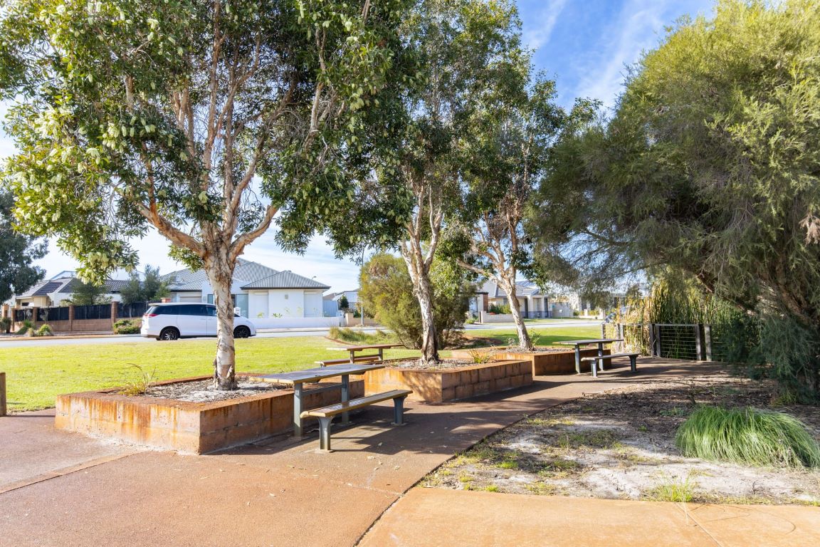 Discover Caversham’s Urban Forest with the Sustainable Environment team