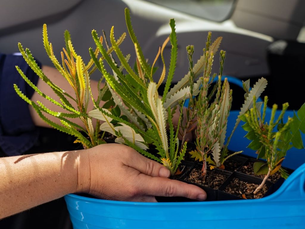 Soil Fundamentals with Green Life Soil Co.