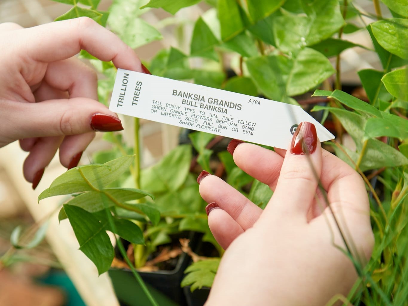 Planning Your Garden with Yann Toussaint