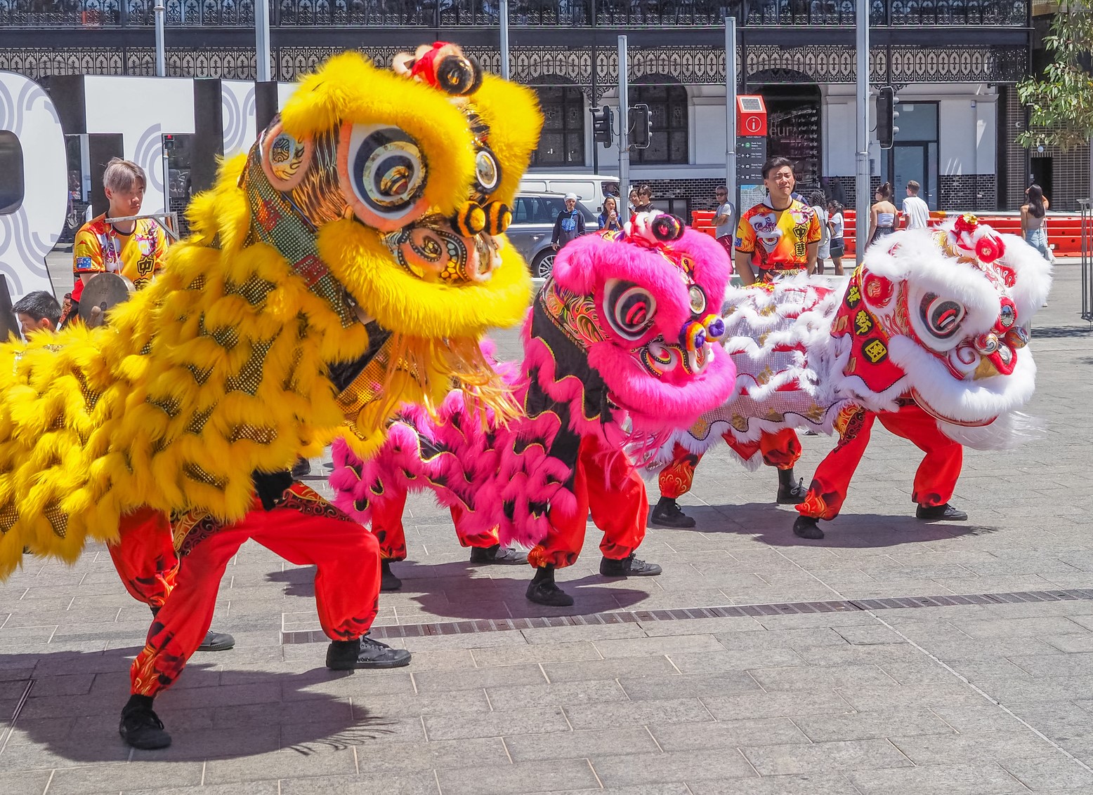 Lunar New Year Celebration