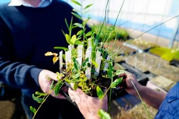 Understanding Urban Greening presented by Neville Passmore