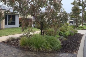 Verge Gardening presented by Budding Concepts