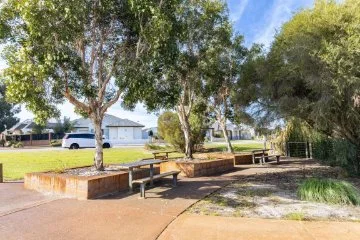 Discover Caversham’s Urban Forest with the Sustainable Environment team