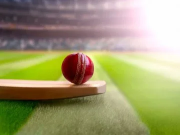 A cricket ball on top of a bat inside a stadium