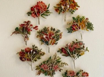 Revisiting the Mughal Gardens