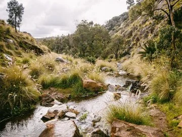 A flowing creek in Gidgegannup with native grasses on its banks