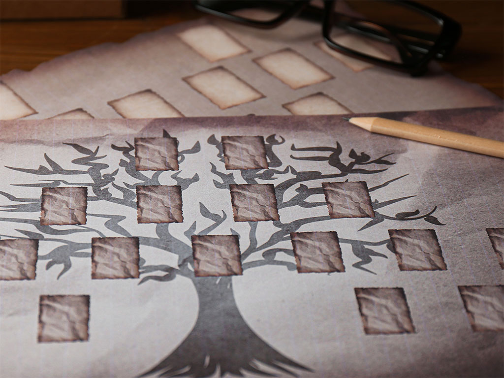 Build your family tree