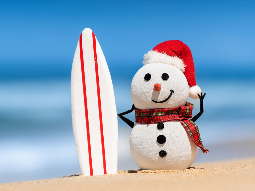 Brockman Community House Christmas Carnival