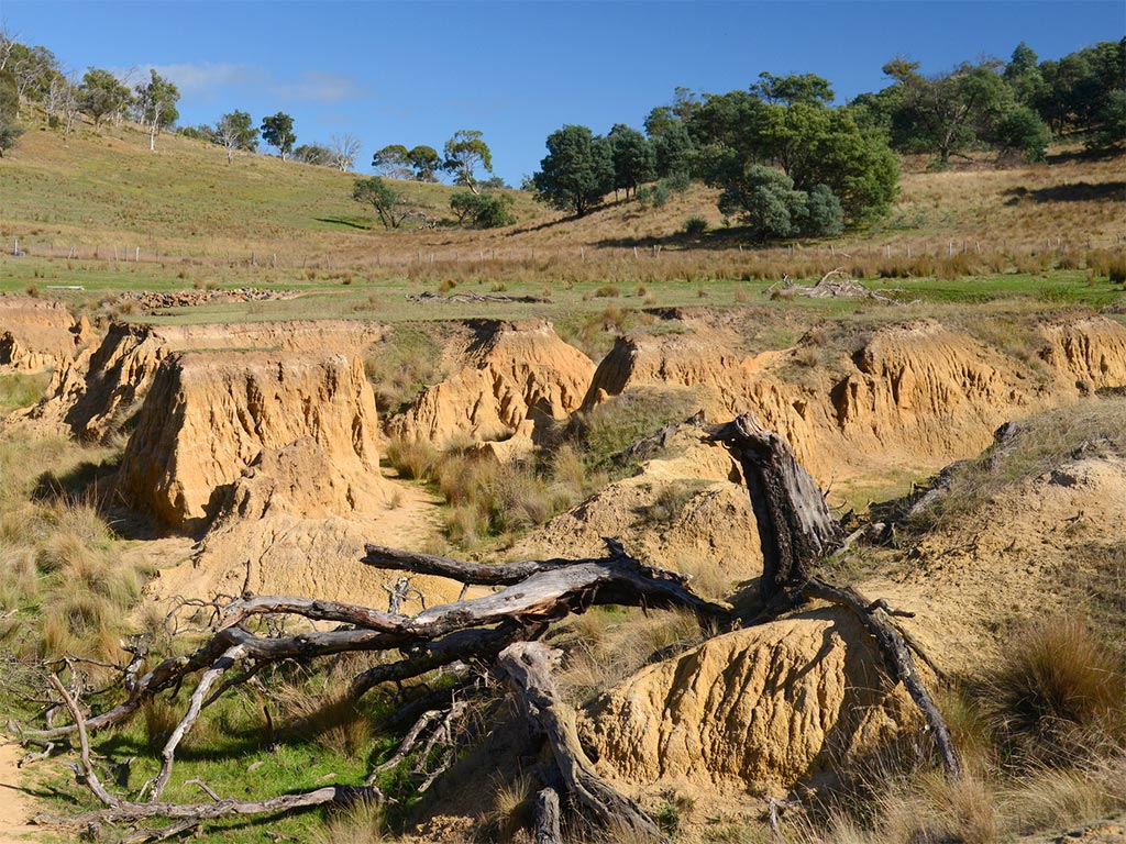 Erosion Management Workshop