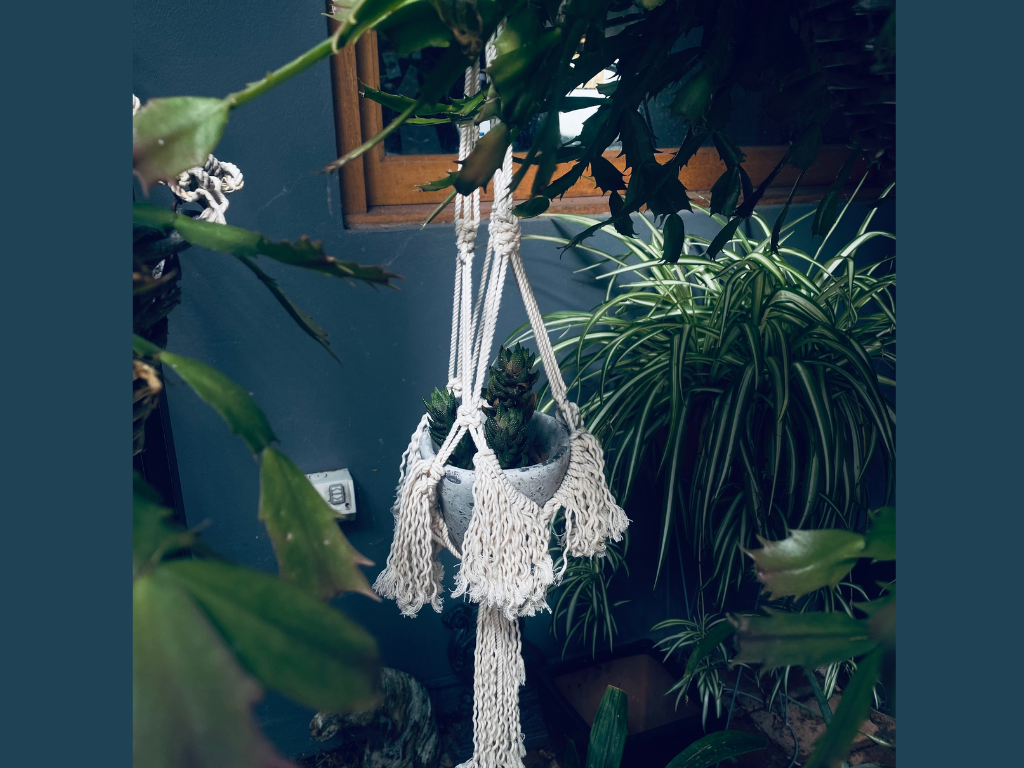 Monday Makers: Macrame Hanging Pot Plant