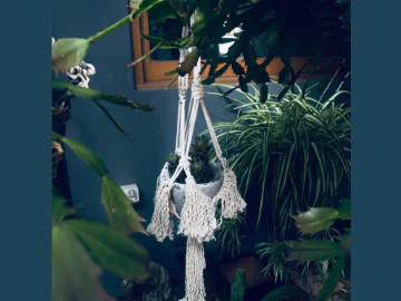 an image of a macrame hanging pot plant