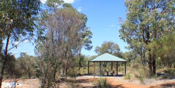 Burley Park Bushland
