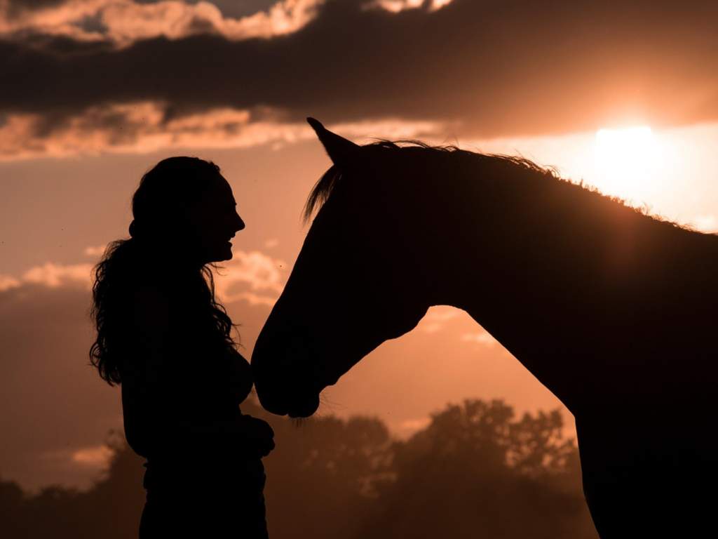 How Horses Heal