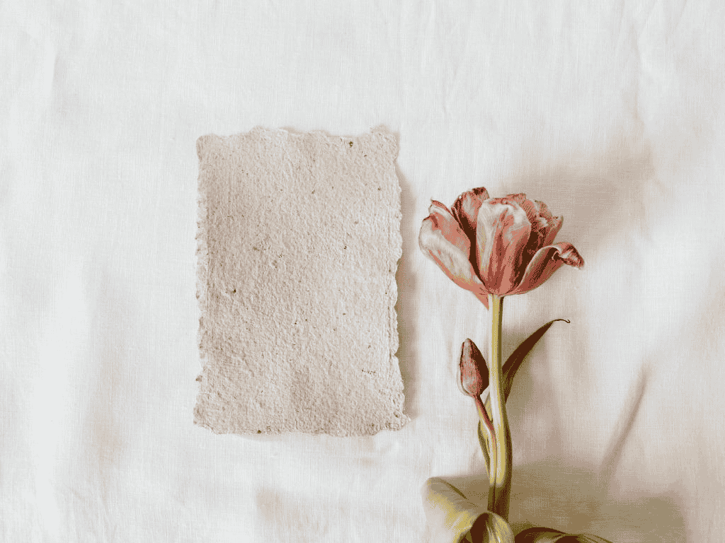 Monday Makers: Plantable seed paper & cards