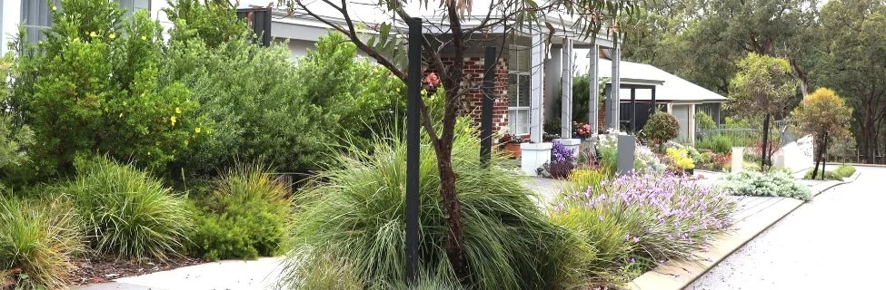 A street with lots of native plantings on the verges and gardens