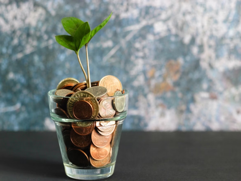 Xero for Beginners