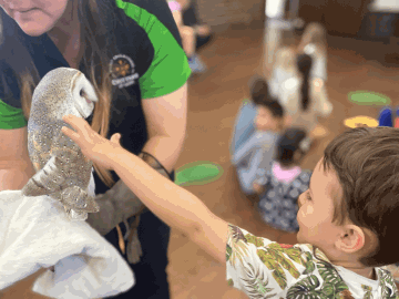 A boy reaching out to an owl 
