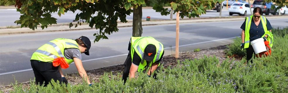 City of Swan staff collecting rubbish by a roadside on Clean Up Australia day