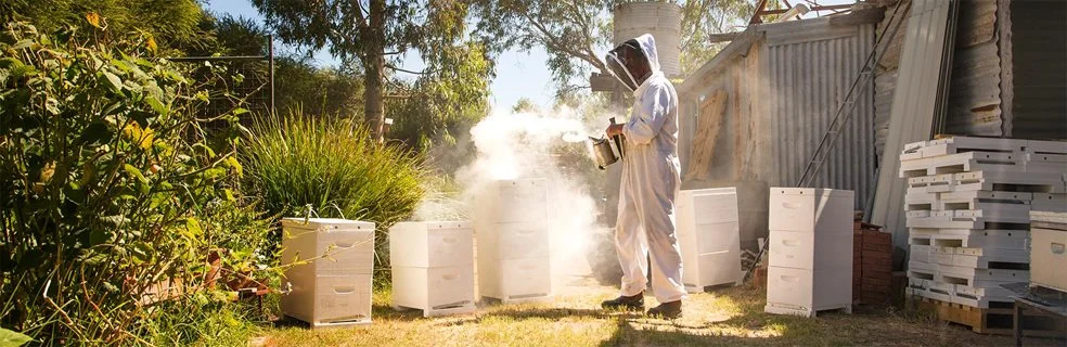 Bee hives being smoked at House of Honey in the Swan Valley