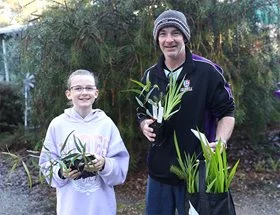 2023's free tree and plant giveaway